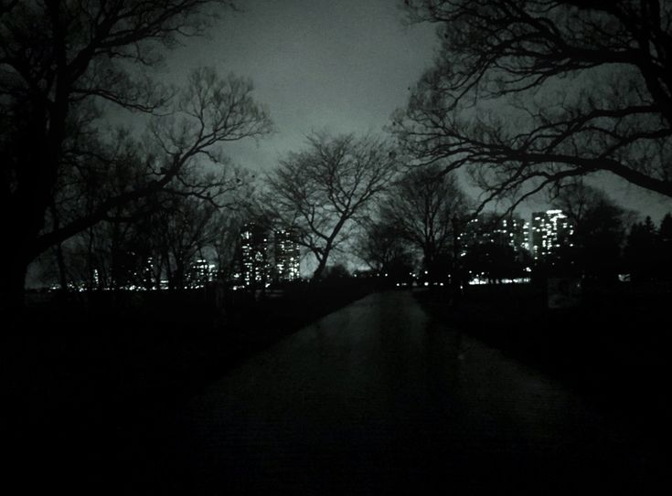 trees line the street in front of a city at night