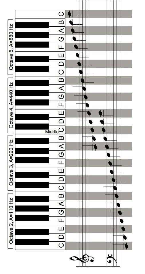 the piano keys are labeled in black and white, with different numbers on each side