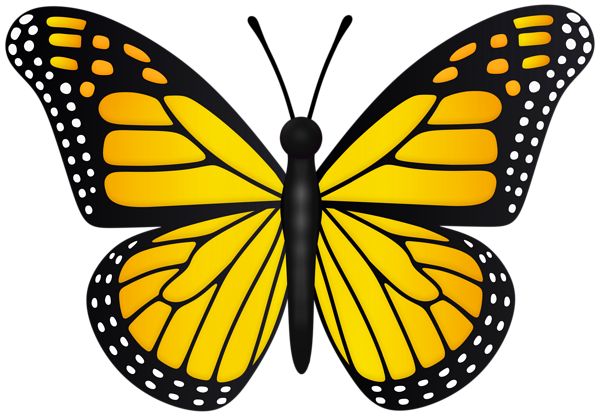 a yellow butterfly with black spots on its wings