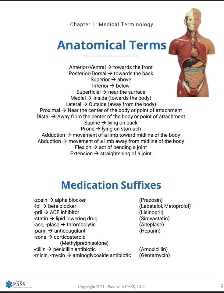 an image of the anatomy of the human body and its major functions in medical care