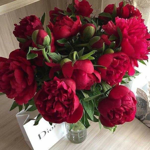 a vase filled with red flowers on top of a table