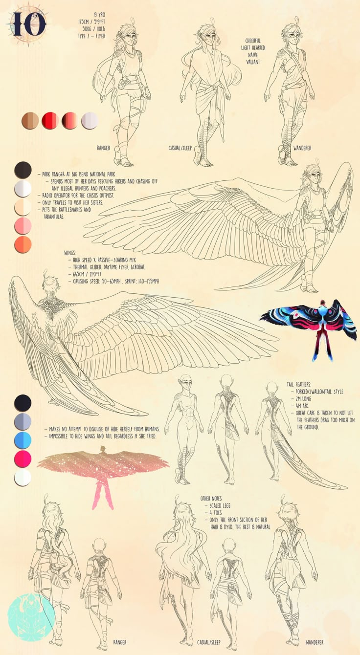 an info sheet shows how to draw anime characters