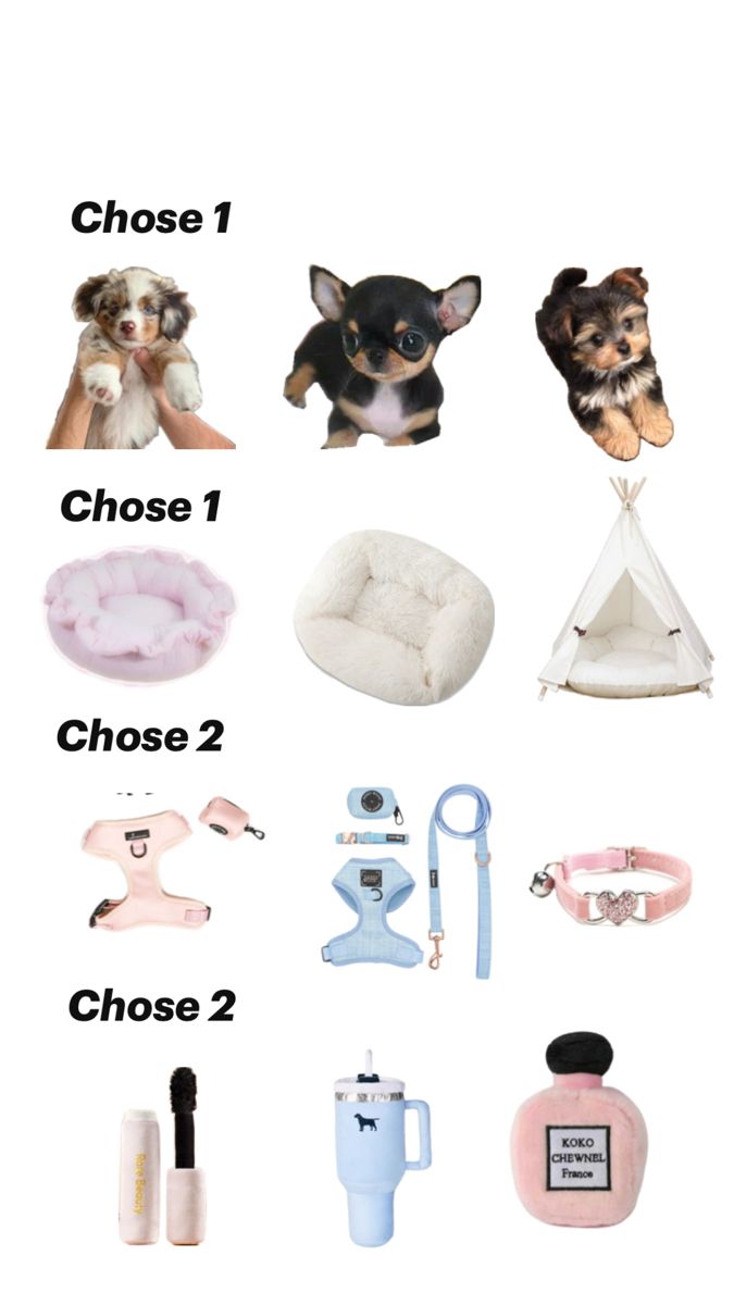 various items that include a dog, cat and other things