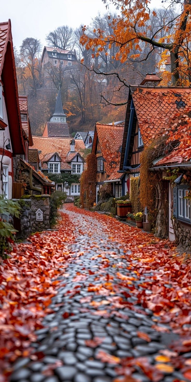 a cobblestone road with red leaves on the ground and houses in the background