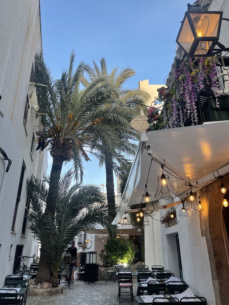 an alleyway with tables and palm trees