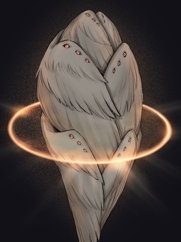 a drawing of an angel's back with its wings spread out and halo around it