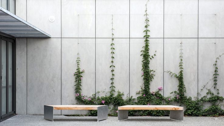 two benches sitting next to each other in front of a wall with vines growing on it