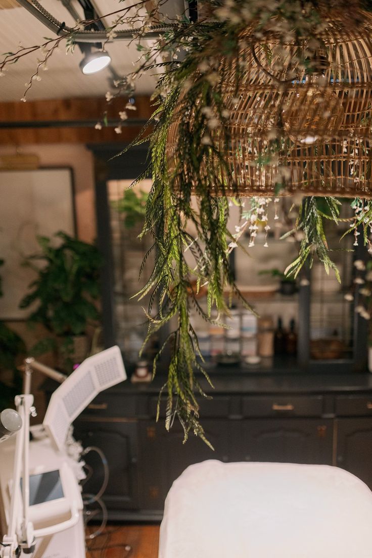 a room filled with furniture and plants hanging from the ceiling