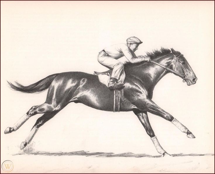 a black and white drawing of a jockey riding a horse