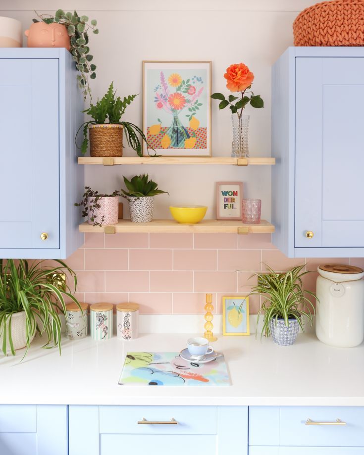 a kitchen with blue cabinets and plants on the shelf above the counter top, along with other items