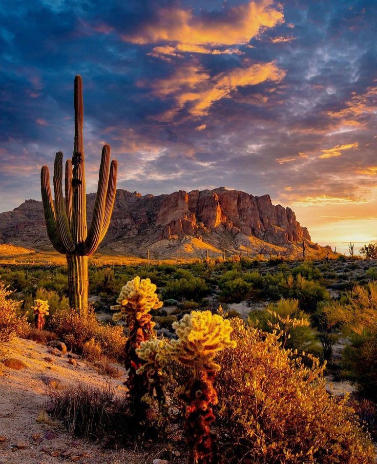 Mountains Superstition Mountains Arizona, Arizona Sunrise, Arizona Aesthetic, Desert Scenes, Arizona Mountains, Desert Aesthetic, Visit Arizona, Arizona Sunset, Arizona Landscape