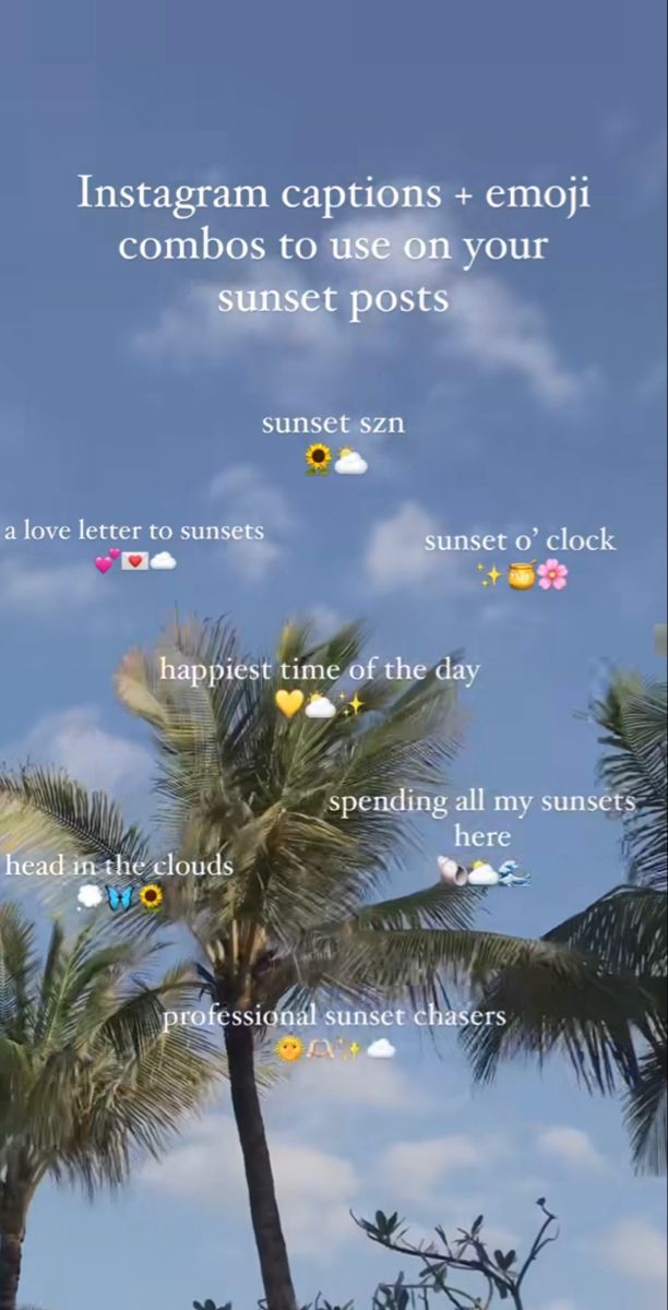 palm trees with the words instagram captions and emojts to use on your sunset posts