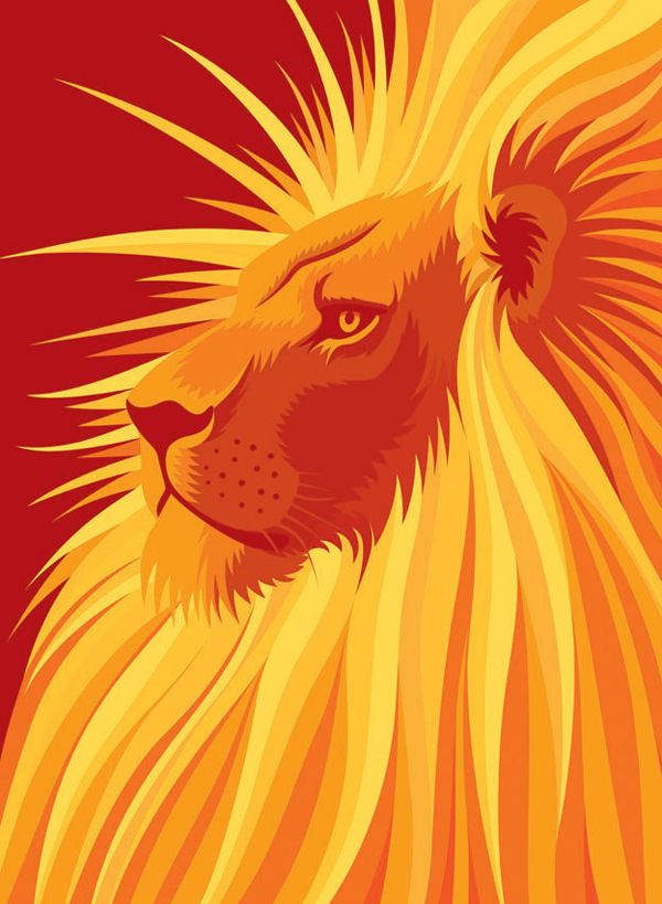 a close up of a lion's face on a red and yellow background,