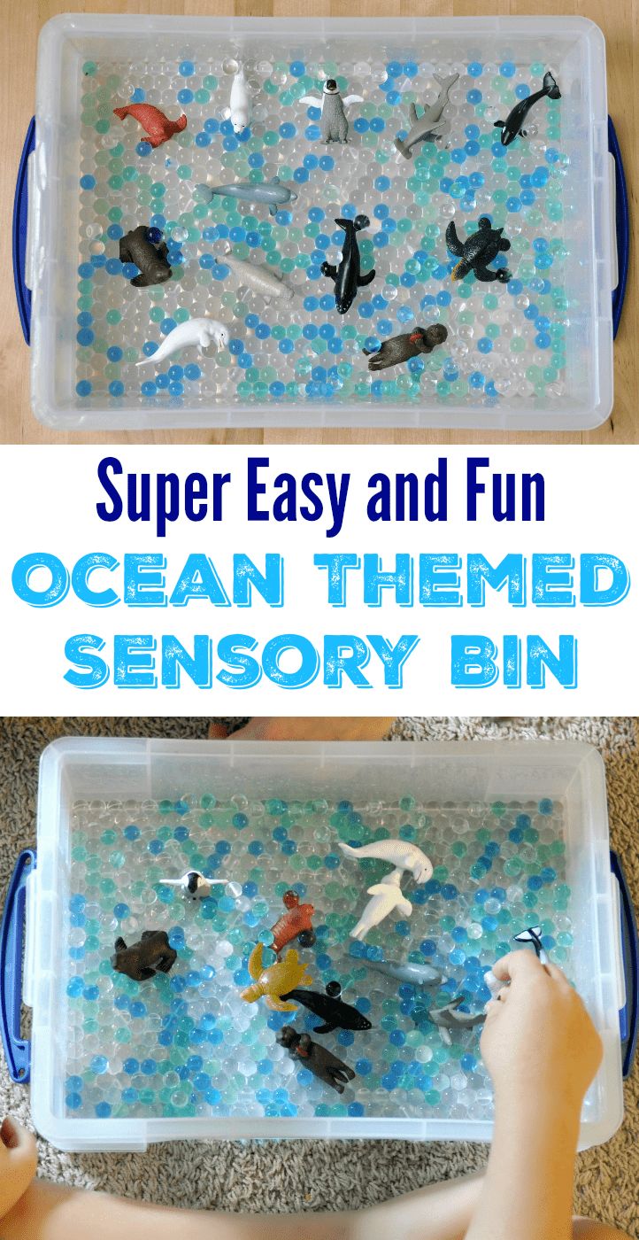 an ocean themed sensory bin for toddlers to play with and learn how to use it