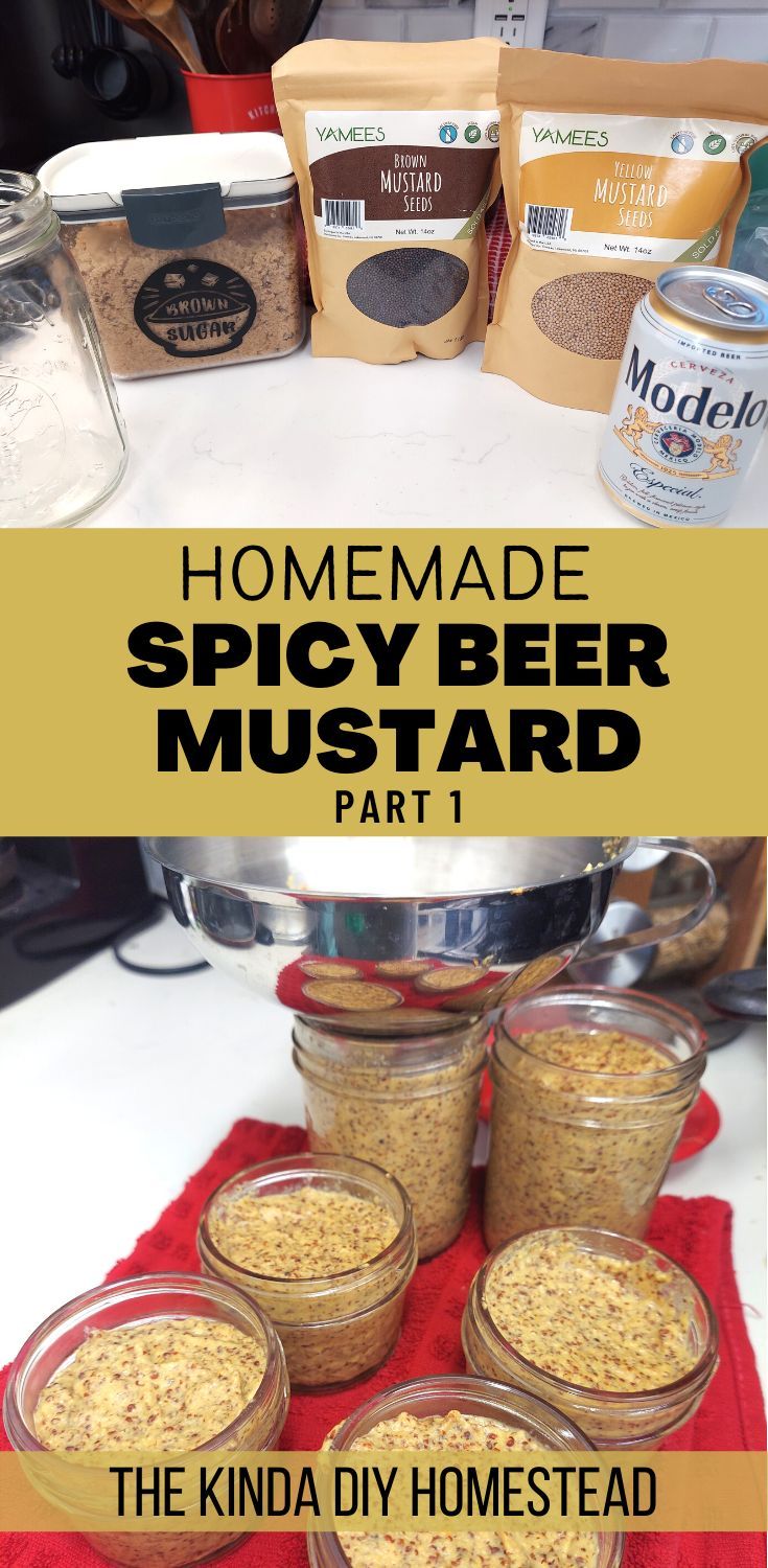 Homemade Spicy Beer Mustard - Part 1 Mustard Recipes For Canning, Spicy Brown Mustard Recipe, German Mustard Recipe, Brown Mustard Recipe, Chinese Hot Mustard Recipe, Beer Mustard Recipe, Mustard Recipes, Fermentation Station, Beer Mustard