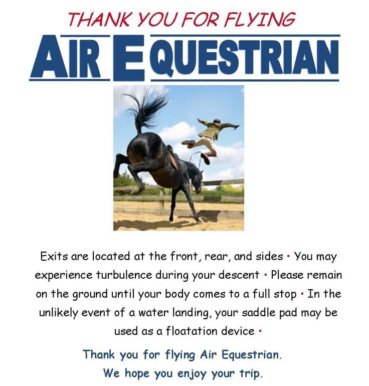 an advertisement for the air equestran event with two horses and birds flying in the sky