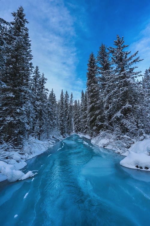 a river running through a forest covered in snow