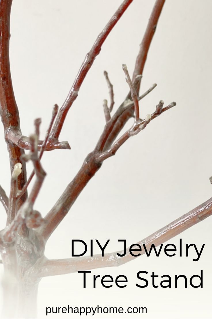 a close up of a tree branch with the words diy jewelry tree stand