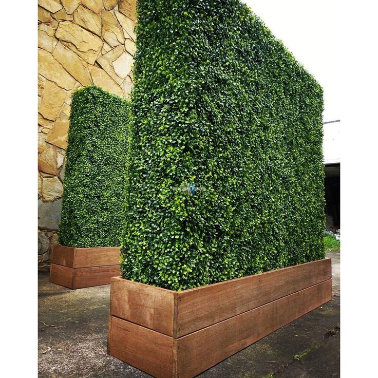 two large wooden planters sitting next to each other