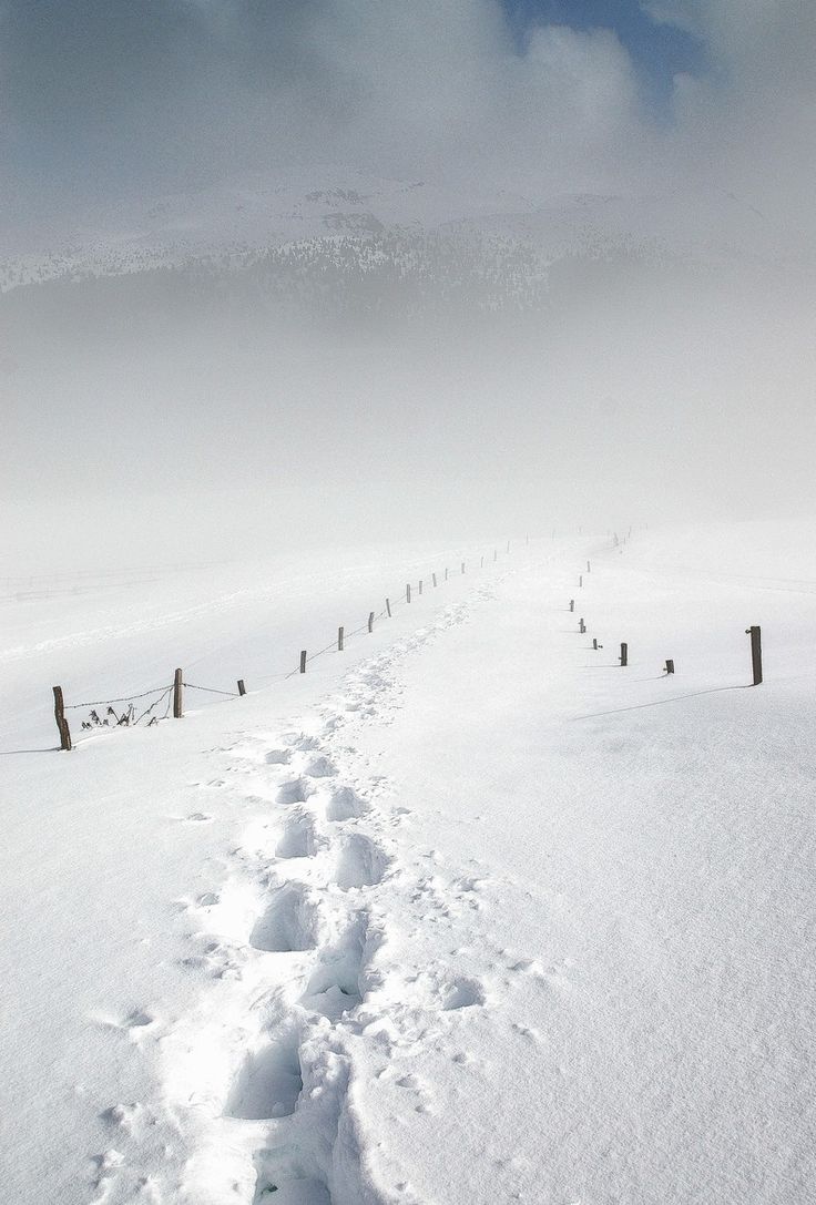 a person riding skis down a snow covered slope