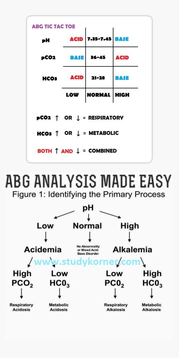 an info sheet with different types of text