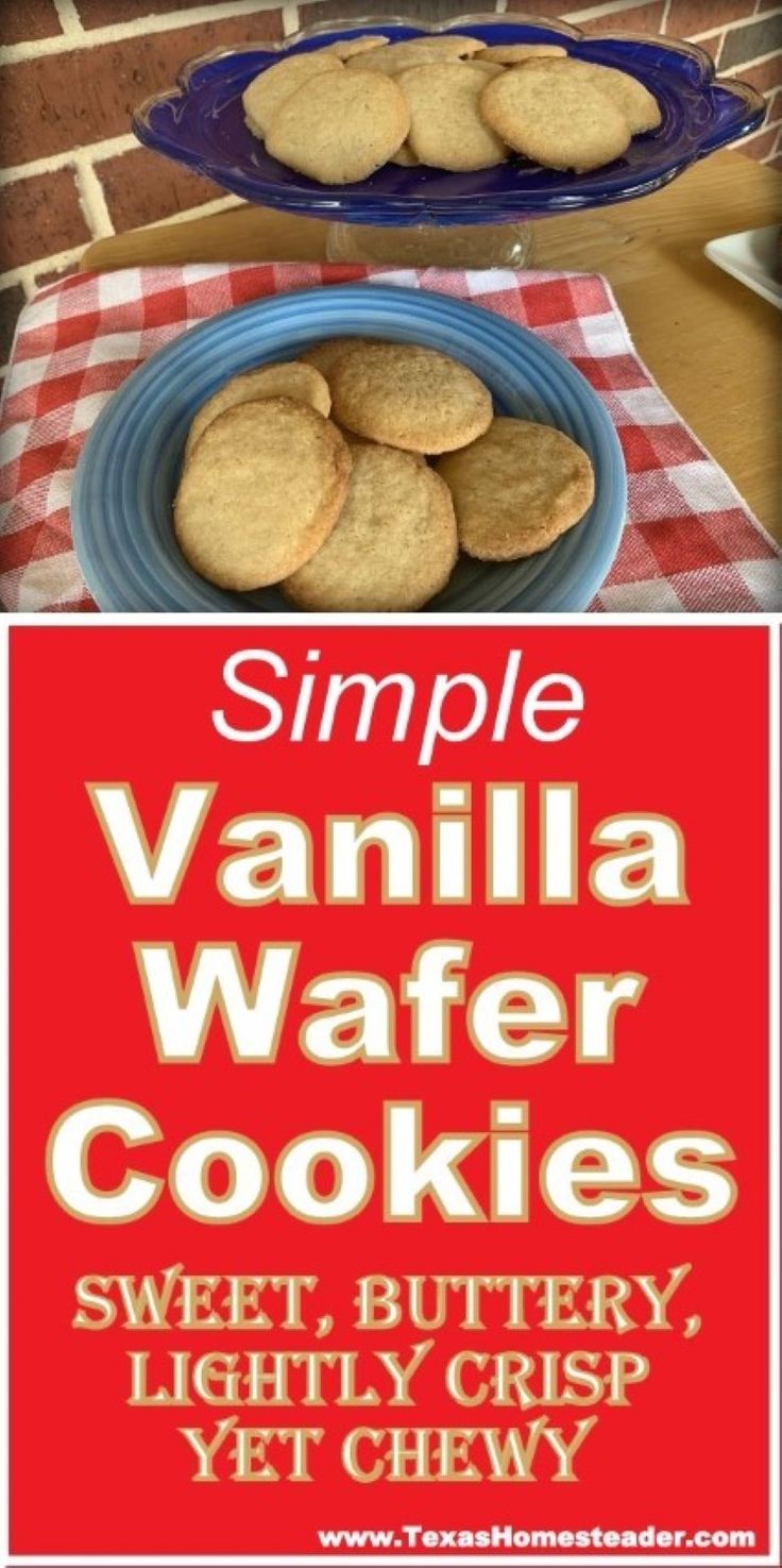 Easy Vanilla Wafer Cookie Recipe Uses Simple Ingredients & Bakes Up FAST! ~ Texas Homesteader ~ Vanilla Wafer Cookies Recipe, Vanilla Wafer Cookie Recipe, Homemade Vanilla Wafers Recipe, Vanilla Wafers Recipe, Monster Recipes, Wafer Cookie Recipe, Vanilla Wafer Recipe, Wafers Recipe, Vanilla Wafer Cookies