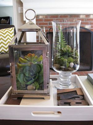 a white tray with some plants in it and a glass vase filled with succulents