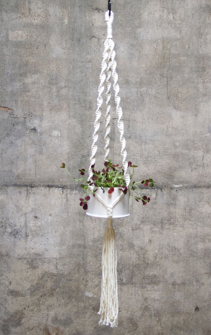 a hanging planter with flowers in it on the side of a concrete wall next to a potted plant