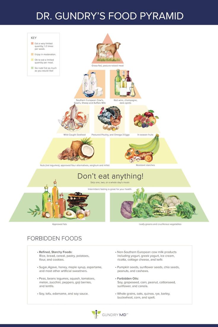 Dr. Gundry's New Food Pyramid for Vitality ("The Plant Paradox" diet) Plant Paradox Food List, Keto Food Pyramid, Lectin Free Foods, Plant Paradox Diet, Lectin Free Diet, Dr Gundry, Plant Paradox, Detox Diet Plan, Food Pyramid