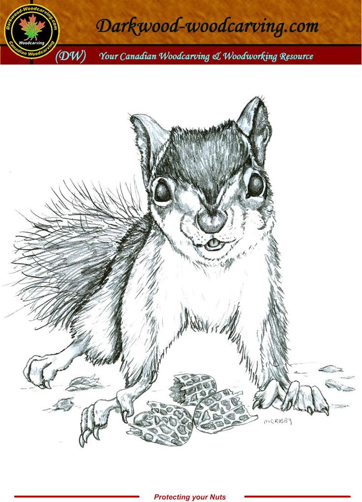 a drawing of a squirrel with the words darkwood wood carving on it's back