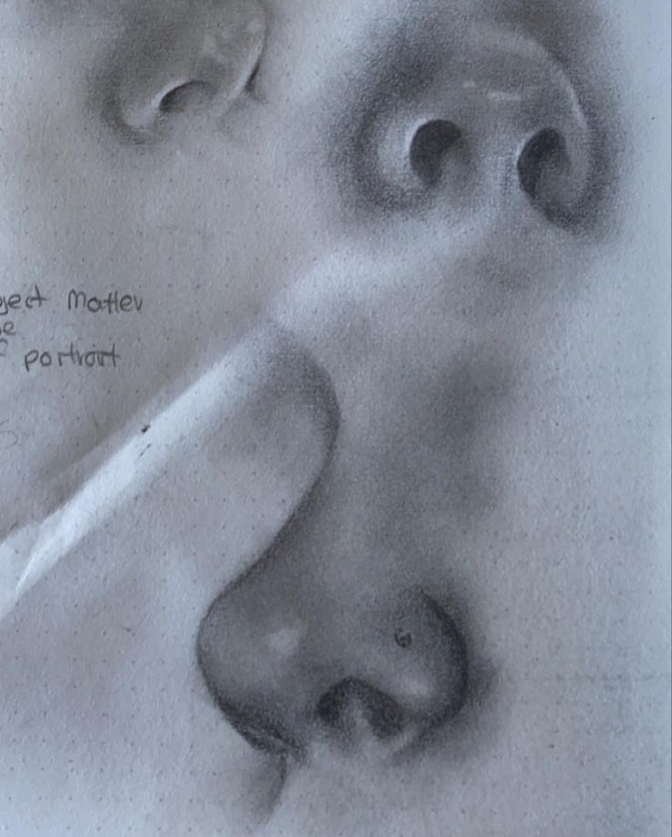 a pencil drawing of a nose and ear with the caption'forget 4 minutes to be portrait '