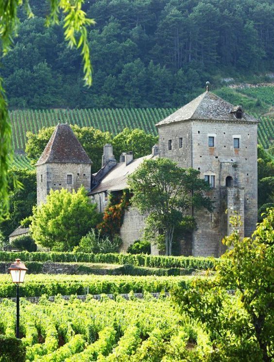 an old house in the middle of a vineyard surrounded by trees and bushes with a lamp post