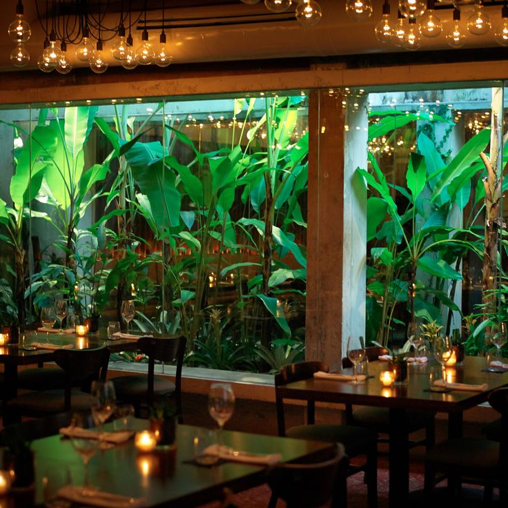 an indoor restaurant with plants and candles lit up on the tables in front of large windows