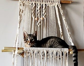 a cat is laying in a hammock hanging on the wall