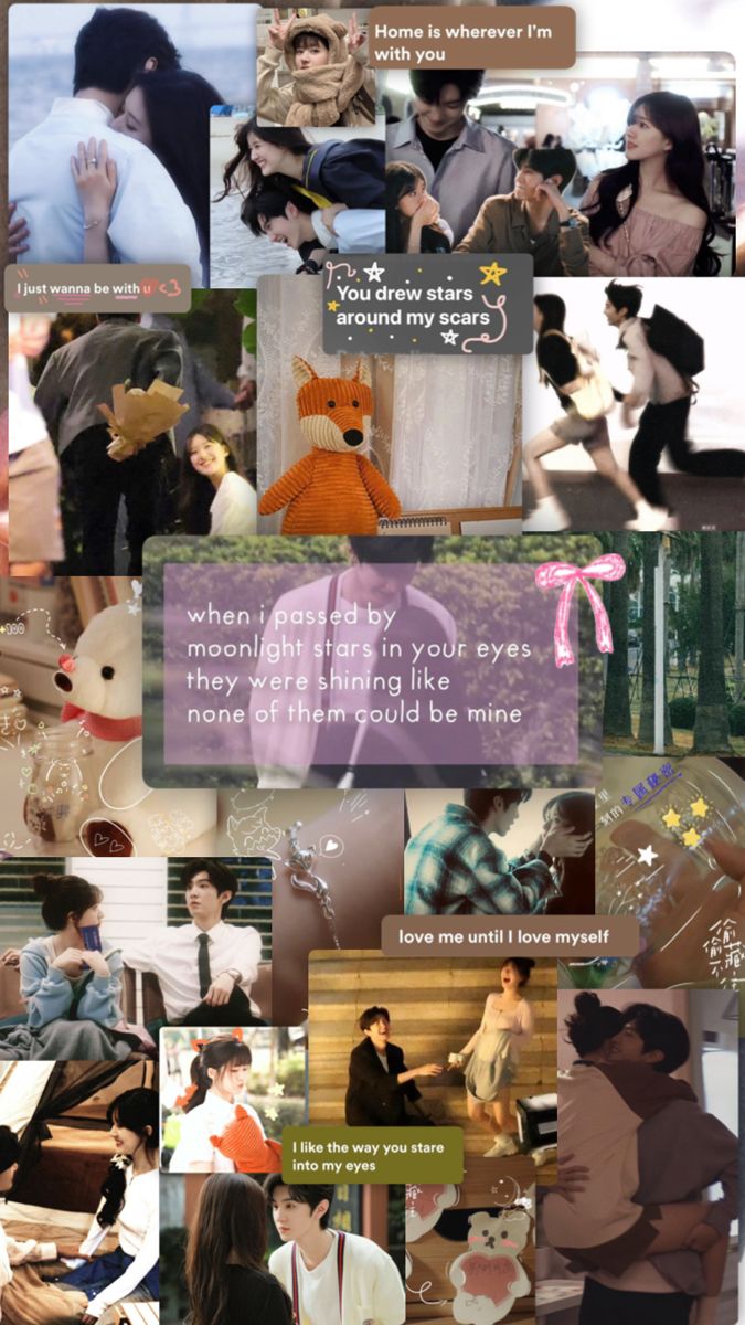 the collage shows many different people and their pets, including one person holding a teddy bear