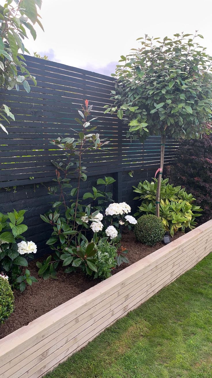 a garden with white flowers and trees in the back yard, next to a fence