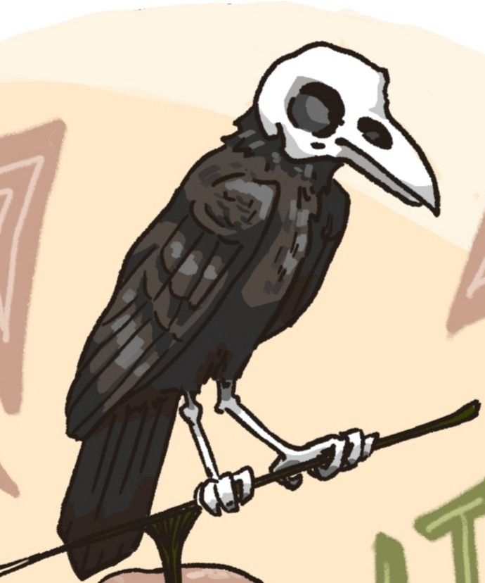 a black and white bird sitting on top of a persons hand with a skull in it's beak