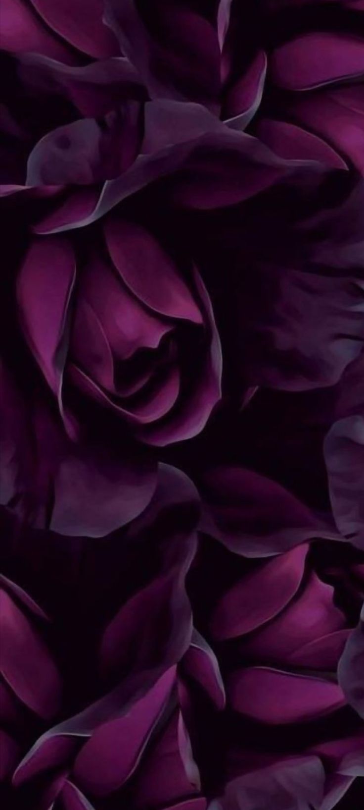 an image of purple flowers in the dark