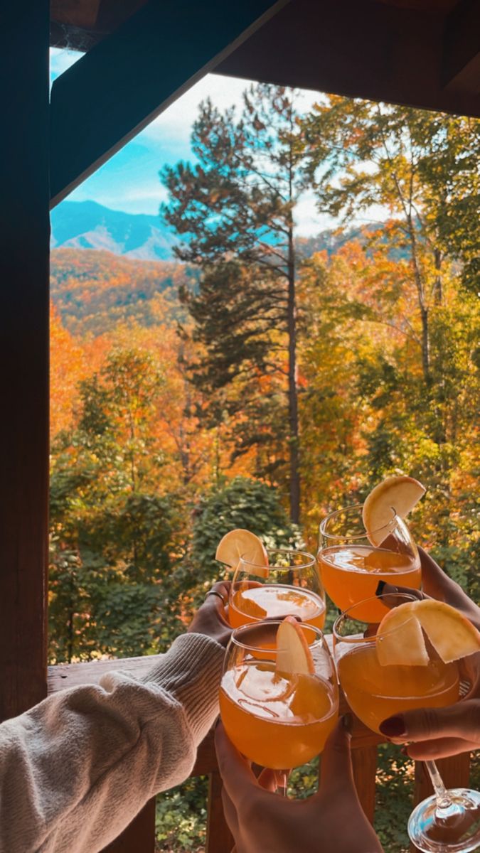 people toasting with orange juice in front of mountains