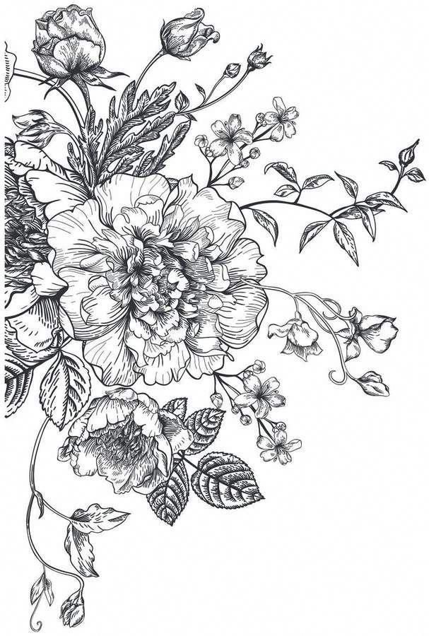 a bouquet of flowers with leaves and buds on a white background royalty illustration stock illustration