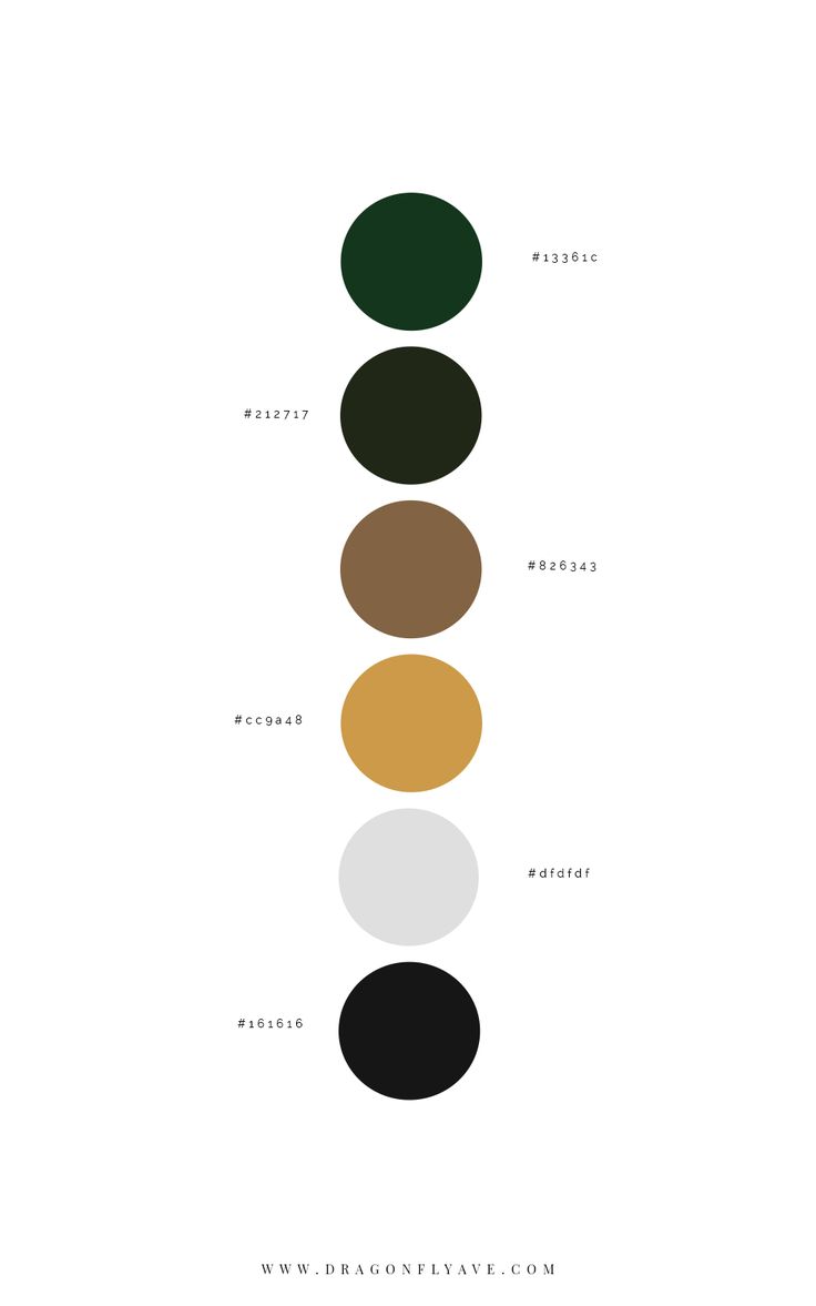 an image of the five colors in this poster