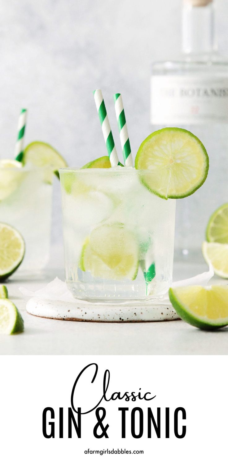 a gin and tonic cocktail with limes on the side