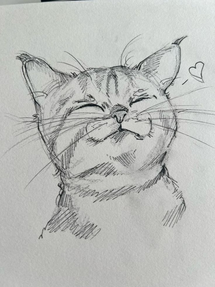 Anime Cat Reference Drawing, Animal Sketch Reference, Cute Cats Sketch, Cat Sketches Cute, Drawing Ideas Cat Sketch, Aesthetic Pics To Draw, Drawings Of Cats Sketch, Sketch Cat Drawing, Art Sketches Pencil Creative Sketchbooks