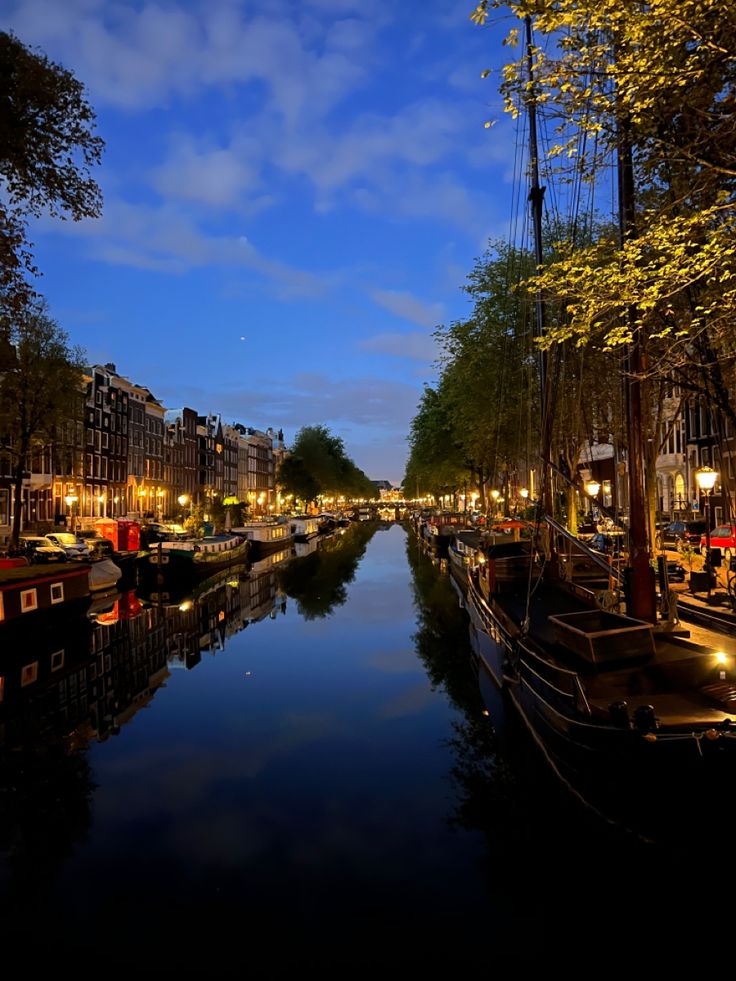 boats are parked along the side of a canal at night in front of buildings and trees