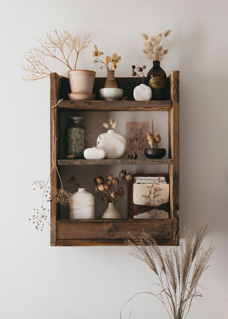 a shelf filled with vases and plants on top of a wall next to a potted plant