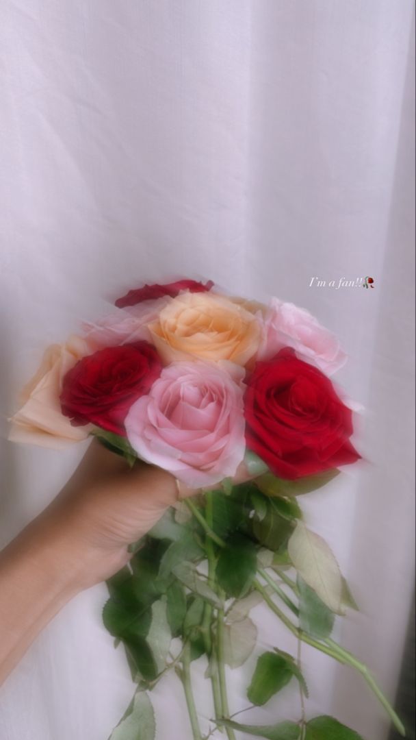 a hand holding a bouquet of roses on a white background with the image blurry