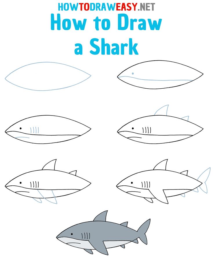 how to draw a shark for kids