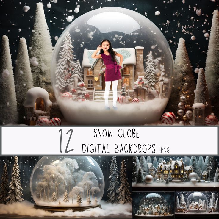 snow globe digital backgrounds for photoshopping