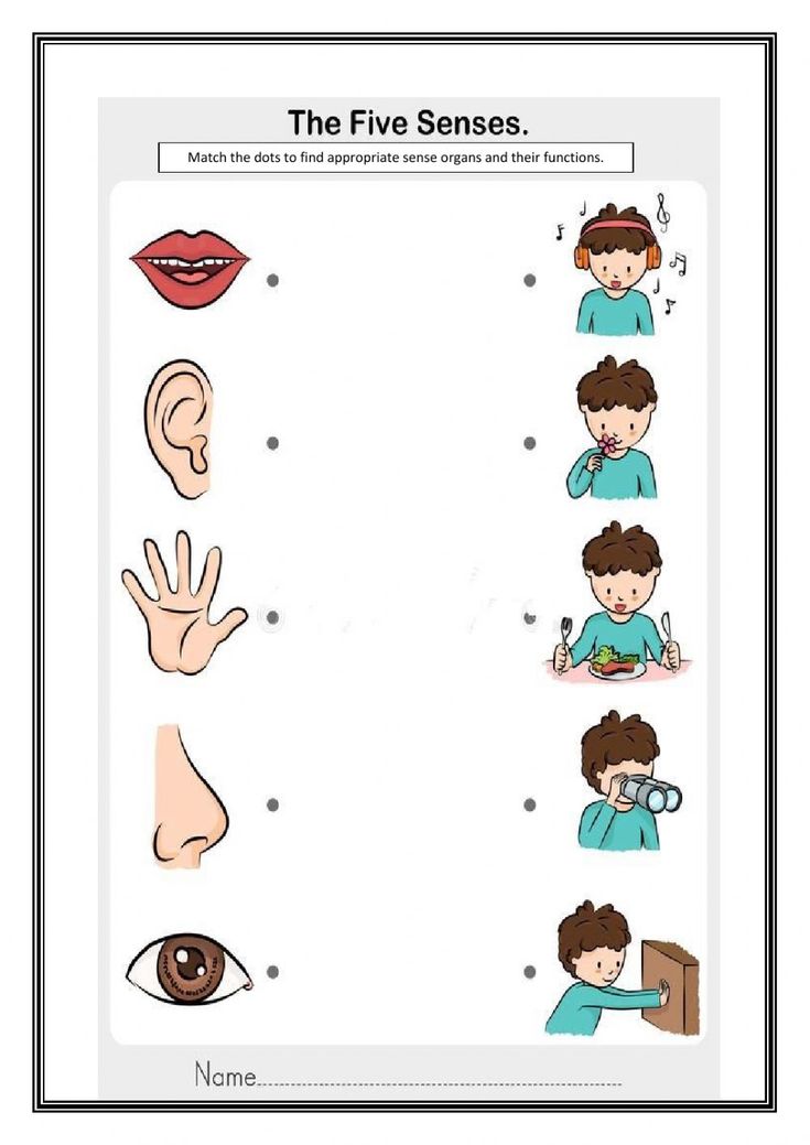 the five senses worksheet for kids with pictures and words to describe their emotions