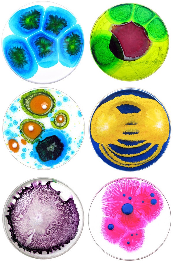 four plates with different colored designs on them